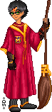 Harry Potter Quiddich