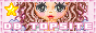 DollzBliss